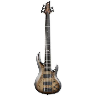 ESP E-II BTL-5 Black Natural Burst