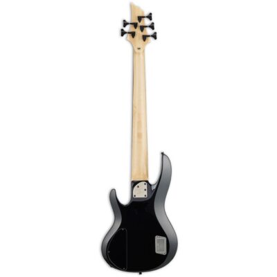 ESP E-II BTL-5 Black Natural Burst