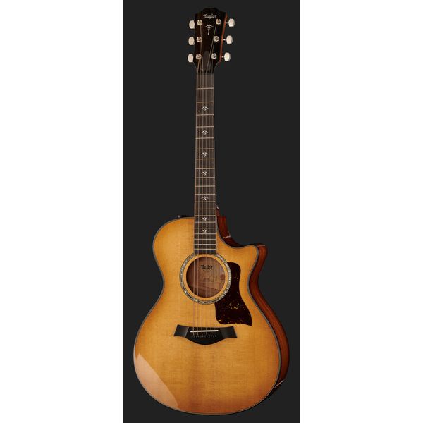 Taylor 512ce Urban Ironbark