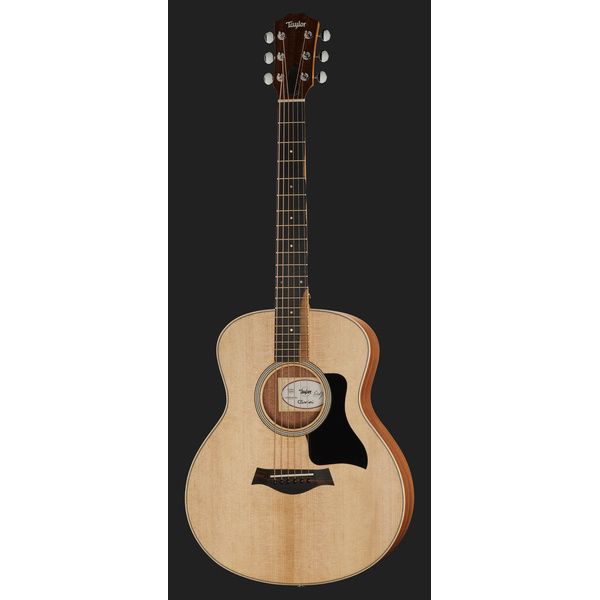 Taylor GS Mini Sapele